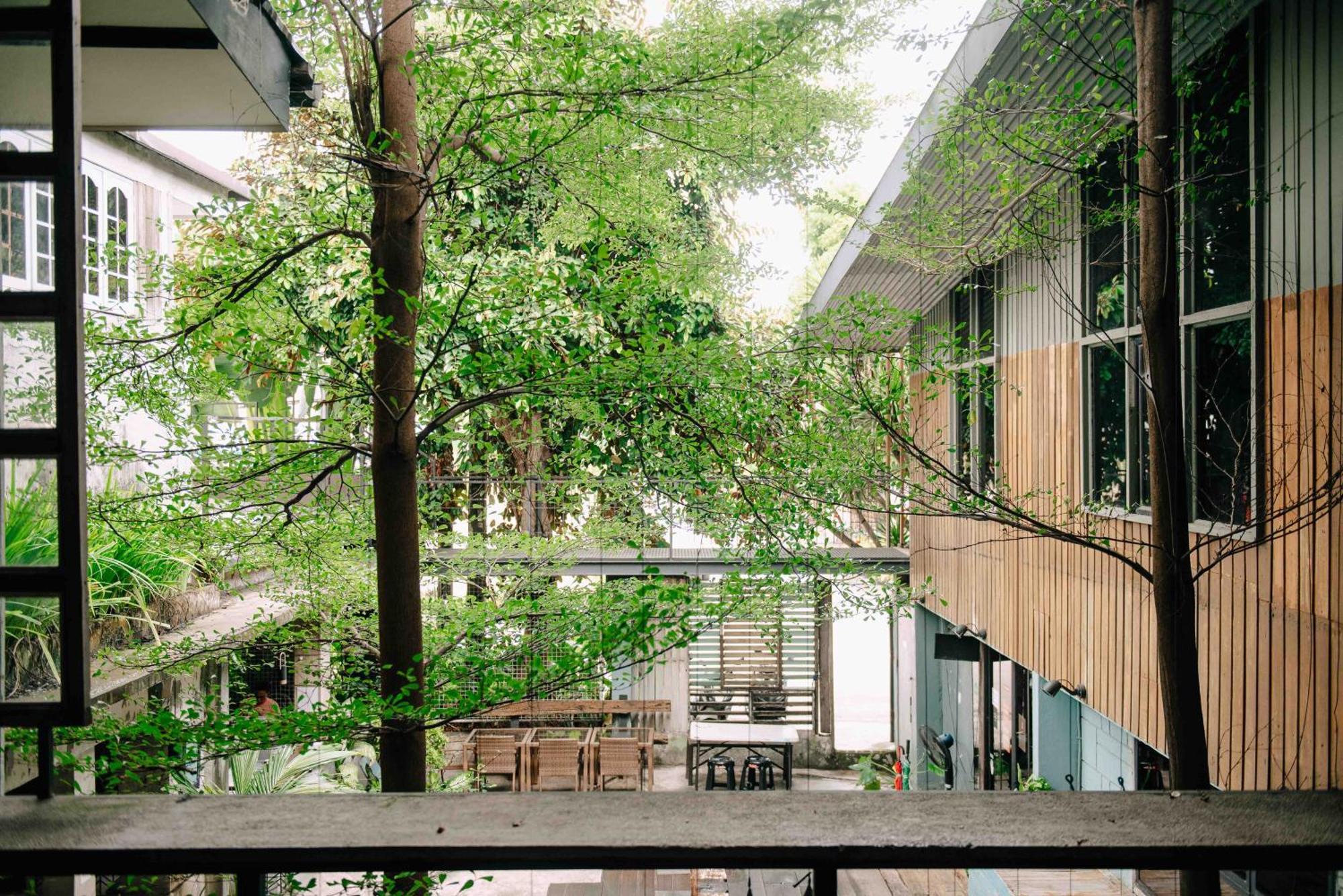 The Flying Fish Hostel Cebu Extérieur photo